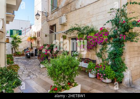 Panoramica estate a Monopoli, provincia di Bari, Puglia, Italia meridionale. Foto Stock