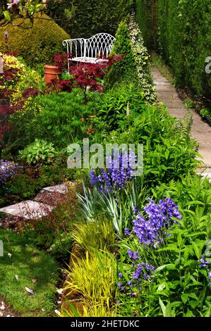 Primavera in un giardino di campagna inglese con campane Foto Stock