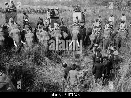 GEPRGE V (18651936) in una caccia alle tigri in Nepalo 1911 in cima all'elefante centrale con zanne bianche. Foto Stock