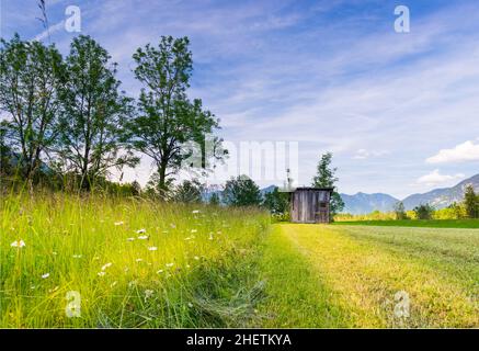 erba falciata al prato rurale tirolo con vecchia capanna di legno in primavera Foto Stock