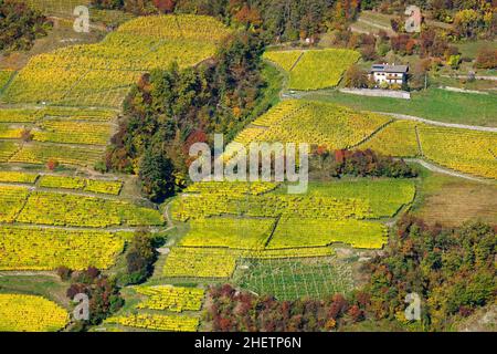 Veduta aerea dei vigneti del Passo del Brennero, Italia, Europa Foto Stock