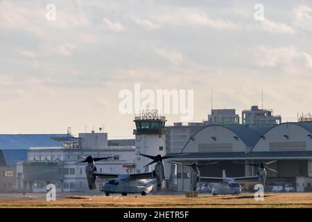 Yamato, Giappone. 04th Jan 2019. Due aerei Bell Boeing V22 Osprey con rotore basculante e i Marines statunitensi, si preparano a decollo dalla base aerea navale Atsugi di Yamato, Kanagawa, Giappone. L'Osprey è un velivolo da trasporto controverso. Con un record di sicurezza discontinuo è spesso il fuoco della base e delle forze anti-US in Giappone particolarmente Okinawa. E' un raro visitatore di questa base Atsugi. (Foto di Damon Coulter/SOPA Images/Sipa USA) Credit: Sipa USA/Alamy Live News Foto Stock