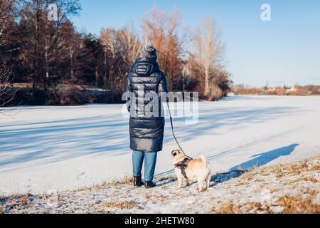 Donna che cammina cane pug nel parco nevoso invernale da lago ghiacciato tenendo guinzaglio. Cucciolo indossare imbracatura guardando il paesaggio. Accessori per animali Foto Stock