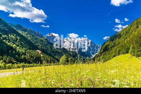 Valle di Logar o Logarska dolina nelle Alpi della Slovenia Foto Stock