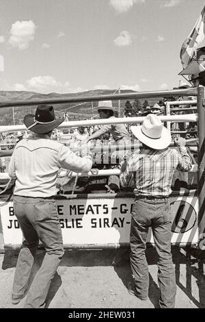 Boys Steer Riding al Crowsnest Pass Rodeo, Alberta Canada. Circa 1981 Foto Stock