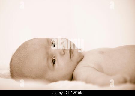 il neonato premuroso con occhi marroni si trova sulla schiena Foto Stock