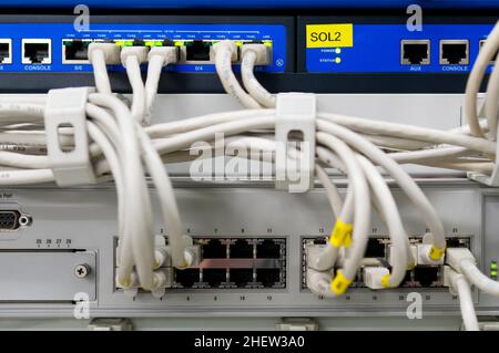 Ambiente IT con switch e firewall collegati con cavi Ethernet patch grigi Foto Stock