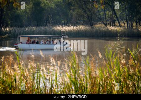 Tour in barca che porta i passeggeri in crociera panoramica sul fiume Balonne a St George, Queensland, Australia Foto Stock