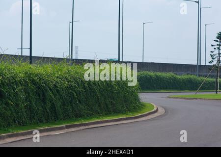 Svolta strada della città con natura verde superriduttore piante nel lato Foto Stock