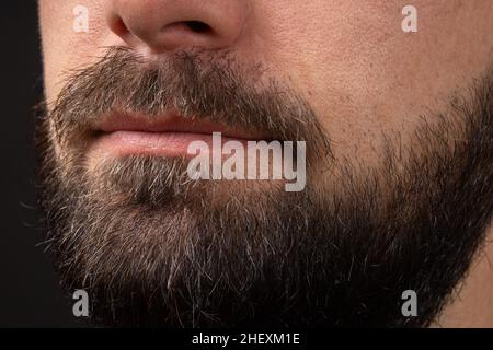 Barba pulita. Primo piano del giovane barbuto. Primo piano sulla bella barba maschile hipster. Barba elegante e ben curata. Closeup bearded uomini Foto Stock