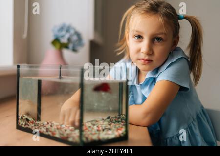 Graziosa ragazza caucasica che guarda il pesce d'oro in acquario, picchiettando sul vetro, attirando l'attenzione. Foto Stock