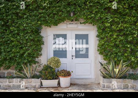 Vecchia casa in vendita con piante rampicanti a parete. Foto Stock