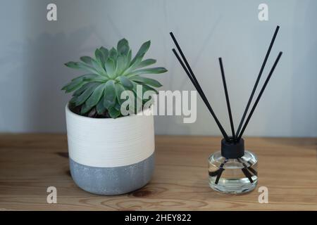 Diffusore di canna aromatica e succulente in vaso di ceramica su tavola di legno. Profumo domestico in bottiglia di vetro con bastoncini di legno nero. Hygge e concetto di coziness Foto Stock