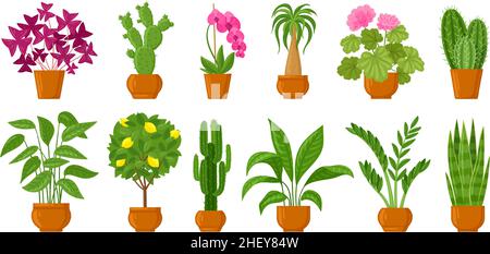 Cartoon vaso piante, casa e giardino fiori in pentole. Vasi di fiori botanici, piante interne decorazione vettore illustrazione set. Fiori e piante in Illustrazione Vettoriale