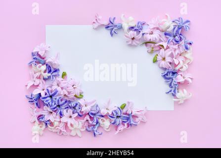 Composizione di fiori. Telaio fatto di fiori di giacinto su sfondo rosa. Disposizione piatta, vista dall'alto, spazio di copia Foto Stock