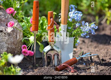 Attrezzi di giardinaggio e fiori primaverili nel giardino. Concetto di giardinaggio. Foto Stock