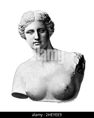 Testa in marmo e busto dell'antica scultura greca Venere di Milo del periodo ellenistico della dea greca, Museo del Louvre di Parigi Foto Stock