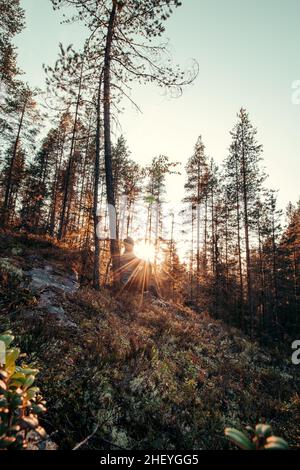 esplora ed esplora nuove aree della regione di Kainuu, nel centro della Finlandia. Ricerca di nuovi obiettivi e di nuove vedute in un ambiente boscoso Foto Stock