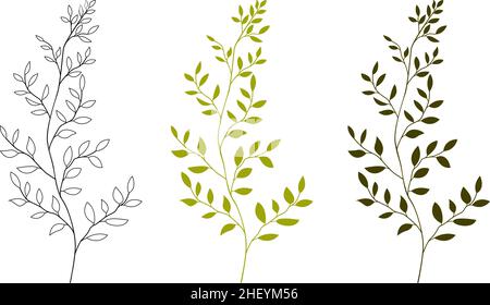 Collezione di verde. Foglie di piante erbacee. Illustrazione Vettoriale