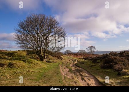 Stanton Moor, percorso pedonale del Derbyshire Foto Stock