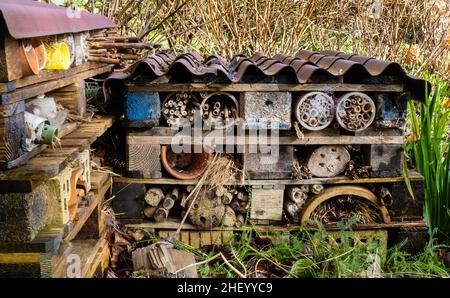 Bee hotel a più piani e rifugio per animali progettato per fornire una varietà di opzioni di nidificazione per piccoli insetti e altre creature in un giardino inglese Foto Stock