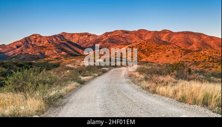 Santa Catalina Mountains, all'alba, Mt Lemmon Highway, FS 38 strada, Coronado National Forest, Vicino a Oracle, Arizona, Stati Uniti Foto Stock