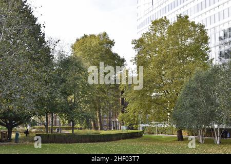 Potters Fields Park in autunno con più London Riverside Office building, Southwark London UK. Foto Stock