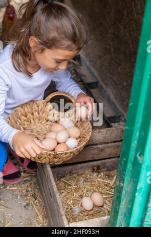 Il bambino raccoglie le uova nella casa di gallina. Focus.Nature selettivo Foto Stock