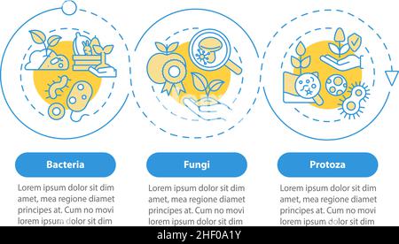 Gestione dei microbi di terreno modello infografico a cerchio blu Illustrazione Vettoriale