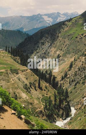 Splendida vista sulla gola delle Highland pakistane con il fiume di montagna a Gilgit Baltistan Foto Stock