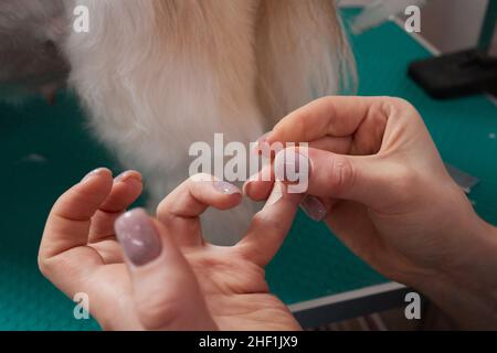 donna mette un cerotto sul suo dito Foto Stock