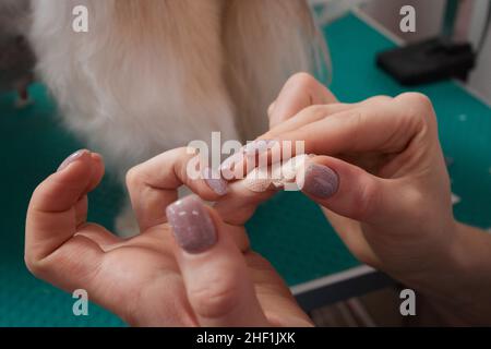 donna mette un cerotto sul suo dito Foto Stock