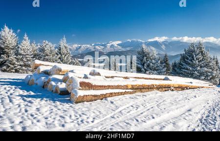 Paesaggio innevato in giornata di sole. Primo piano con mucchio di legno da alberi tagliati immagazzinati su un prato nevoso. Montagne innevate sullo sfondo. Foto Stock