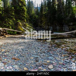 Ponte a piedi sul Grinnell Creek sul Grinnell Lake Trail, Glacier National Park, Montana, USA Foto Stock