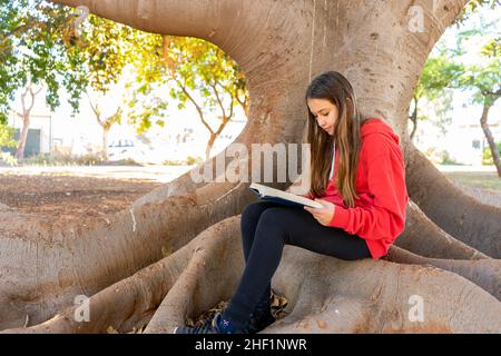 Bruna pre-adolescente ragazza caucasica seduta sulle radici di un grande albero lettura in un parco-come impostazione. Concetto di studio. Spazio di copia Foto Stock