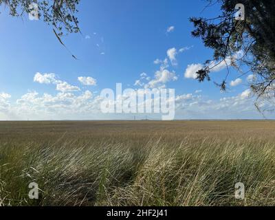 Una vista del saltmarsh dal sito Horton House su Jekyll Island, Georgia, una tranquilla destinazione di viaggio lento nel sud-est degli Stati Uniti. Foto Stock