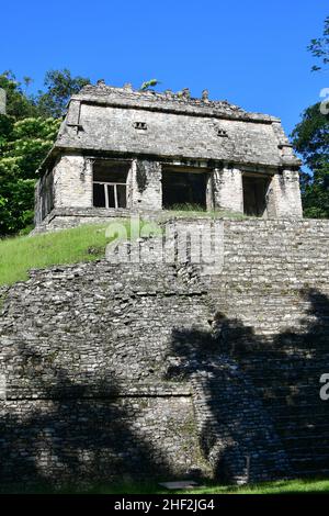 Tempio del Conte (Templo del Conde), sito archeologico di Palenque, stato del Chiapas, Messico, America del Nord, Sito patrimonio dell'umanità dell'UNESCO Foto Stock