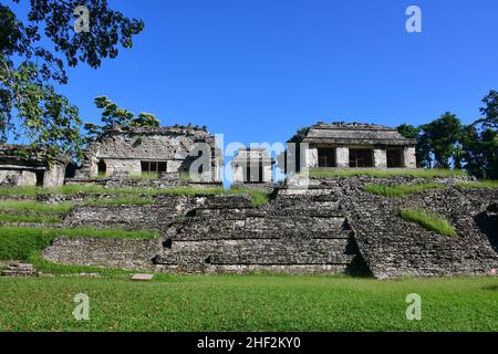 Sito archeologico di Palenque, stato del Chiapas, Messico, Nord America, patrimonio dell'umanità dell'UNESCO Foto Stock