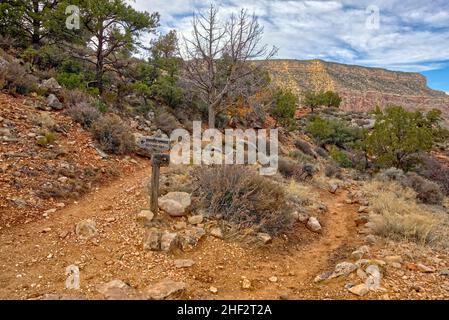 Trail intersezione nel Grand Canyon dove Hermit Trail incontra Dripping Springs. Le indicazioni dei sentieri sono pubblicate dal servizio del Parco Nazionale. Nessuna proprietà Foto Stock