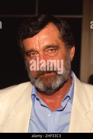 Credito di Victor French Circa 1980: Ralph Dominguez/MediaPunch Foto Stock