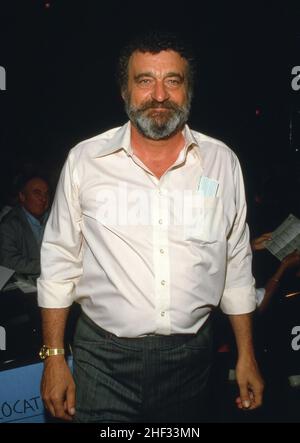 Victor Francese Circa anni '80. Credit: Ralph Dominguez/MediaPunch Foto Stock