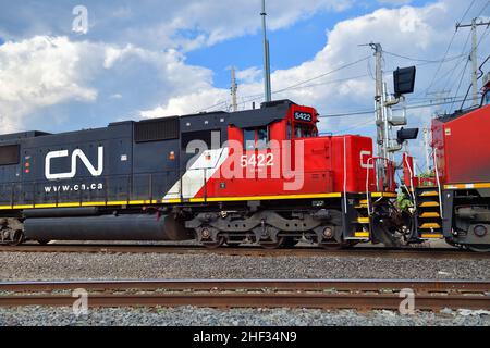 Bartlett, Illinois, Stati Uniti. Le locomotive Canadian National Railway aiutano a dirigere un treno merci verso sud attraverso Spaulding Junction. Foto Stock