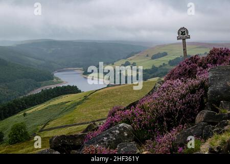 Percorso nelle colline del Peak District con cartello parco circondato da cespugli di erica viola in uno splendido scenario. Pista collinare che porta a Salt Cellar Derwent Foto Stock