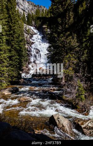 Cascate nascoste su Cascade Creek, Grand Teton National Park, Jackson Hole, Wyoming in primavera, verticale Foto Stock