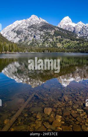 Riflesso dei Grand Teton a Taggart Lake, Jackson Hole, Wyoming, verticale Foto Stock