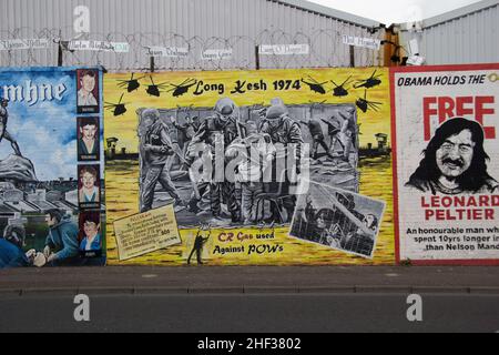 Le Peace Lines sono una serie di muri di separazione situati nell'Irlanda del Nord Foto Stock