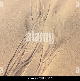 Tipo di disegno struttura sulla spiaggia di sabbia durante la bassa marea del tempo Foto Stock