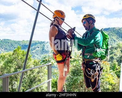 Ziplining in Puerto Rico guida preparare il pilota in imbracatura Foto Stock