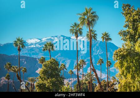 Inverno nella città di Palm Springs California. Cime di montagna coperte da First Snow, Sunny Weather e palme. Valle Coachella clima. United St Foto Stock