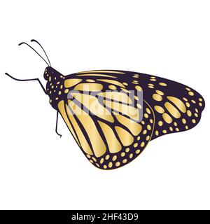 Bella farfalla d'oro isolato vettore illustrazione Illustrazione Vettoriale
